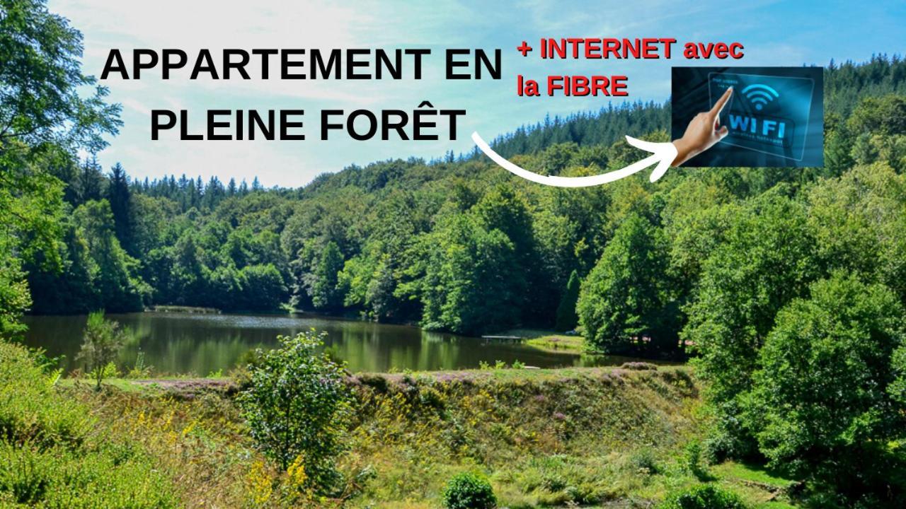 Appartement Aux Sources De La Chabanne Saint-Hilaire-les-Courbes Buitenkant foto